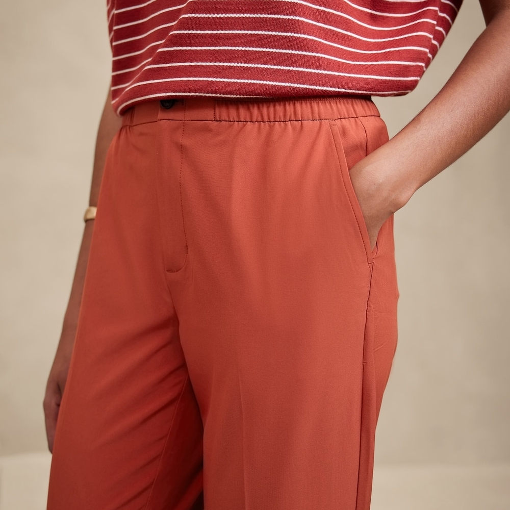 Banana Republic Airstretch Tapered Pant In Ember